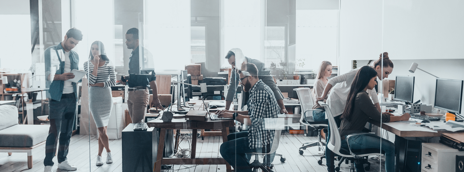 LLC C corporation Sole Proprietorship